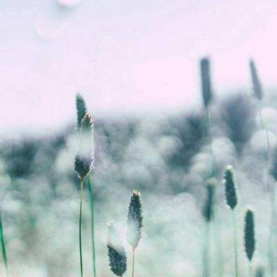 凤凰彩票56677官网入口查询